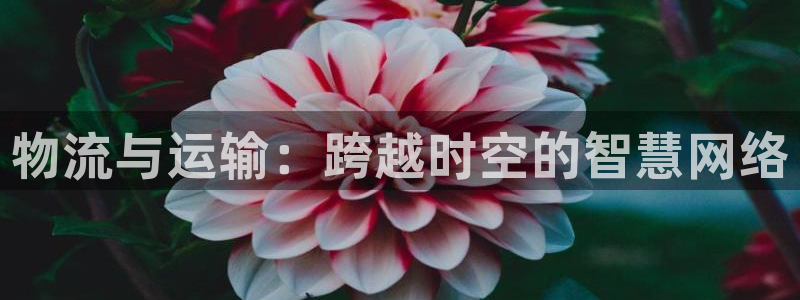 jdb夺宝游戏公司