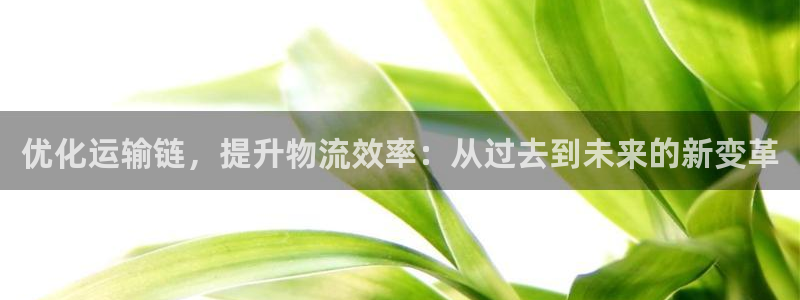 jdb电子平台台湾黑熊