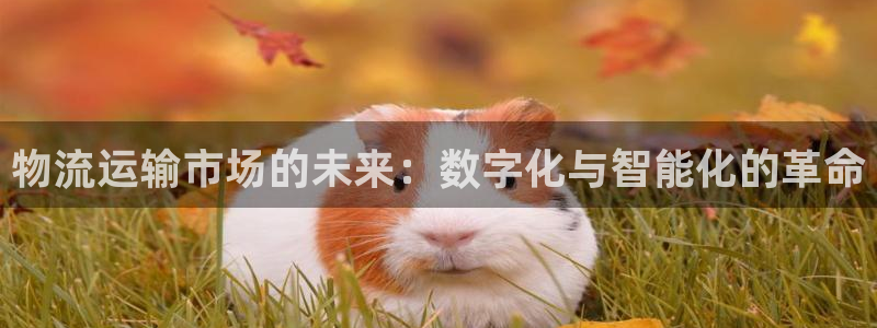 jdbc.database=cms